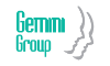 Gemini Group Elecrtical Systems Inc. 