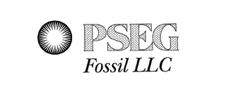 PSEG FOSSIL LLC 