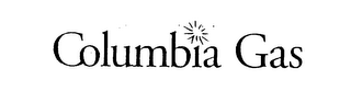 COLUMBIA GAS 