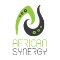African Synergy 