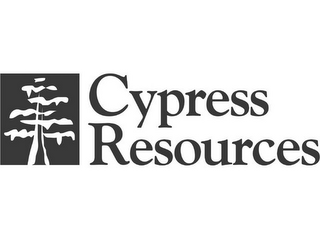 CYPRESS RESOURCES 