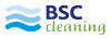BSC cleaning 