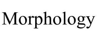 MORPHOLOGY 
