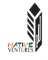 Native Ventures 
