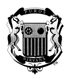 PUROS NIRVANA 