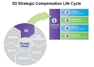 5D STRATEGIC COMPENSATION LIFE CYCLE STRATEGIC DESIGN 5D RISK ASSESSMENT EXECUTE MEASURE ANALYZE IMPROVE 1 DEVELOPING A COMPENSATION STRATEGY 2 DESIGNING A COMPENSATION PLAN 3 DETERMINING COMPENSATION MEASURES 4 DEFINING FORMS OF COMPENSATION 5 DELIVERING THE COMPENSATION MODEL 