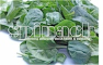 Spinach Health & Wellbeing Ltd 