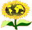 International Sunflower Association 