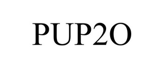 PUP2O 