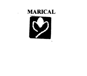 MARICAL 