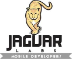Jaguar Projects 