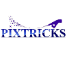 Pixtricks Entertainment & Multimedia Private Limited 