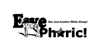 EWE PHORIC! NOT JUST ANOTHER WHITE SHEEP! 