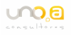 1A CONSULTORES 