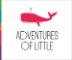 Adventures of Little: Birth and Family Services 