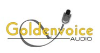 Goldenvoice Audio 