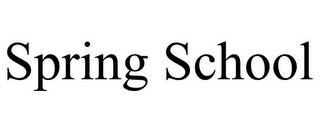 SPRING SCHOOL 