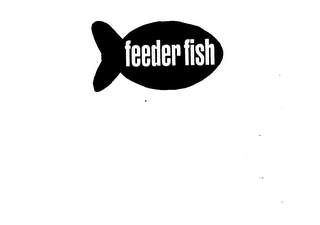 FEEDER FISH 