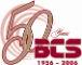 BCS Enterprises Inc. 