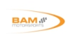 BAM Motorsports Group 