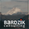 Bardzik Consulting 
