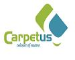 Carpetus 