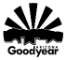 City of Goodyear Economic Development Department 