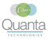Quanta Technologies LLC 