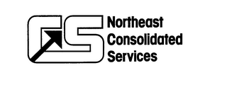 CIS NORTHEAST CONSOLIDATED SERVICES 