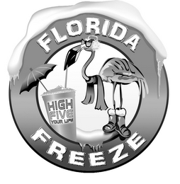 FLORIDA FREEZE HIGH FIVE YOUR LIFE 
