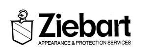 ZIEBART APPEARANCE & PROTECTION SERVICES 