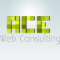 ACE Web Consulting 