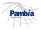 Pambia Aerospace 