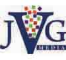 JVG Media Services JLT 