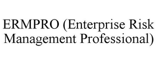 ERMPRO (ENTERPRISE RISK MANAGEMENT PROFESSIONAL) 