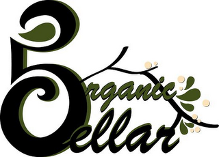 ORGANIC CELLAR 