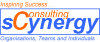 sCynergy Consulting 