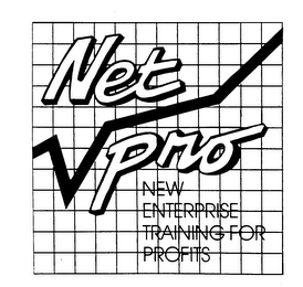 NET PRO NEW ENTERPRISE TRAINING FOR PROFITS 