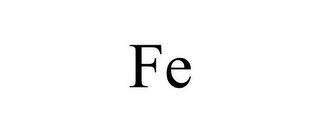 FE 
