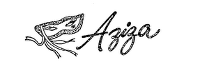 AZIZA 
