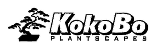 KOKOBO PLANTSCAPES 