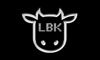 LBK Multimedia 