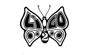 LIGO #2 