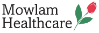 Mowlam Healthcare Services Ltd 