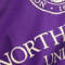 Northwestern University 