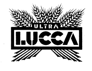 ULTRA LUCCA 