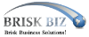 Brisk Biz LLC 