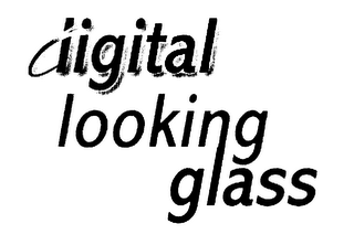 DIGITAL LOOKING GLASS 