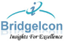 BridgeIcon Consulting Services 