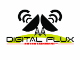 DigitalFlux Entertainment, LLC 